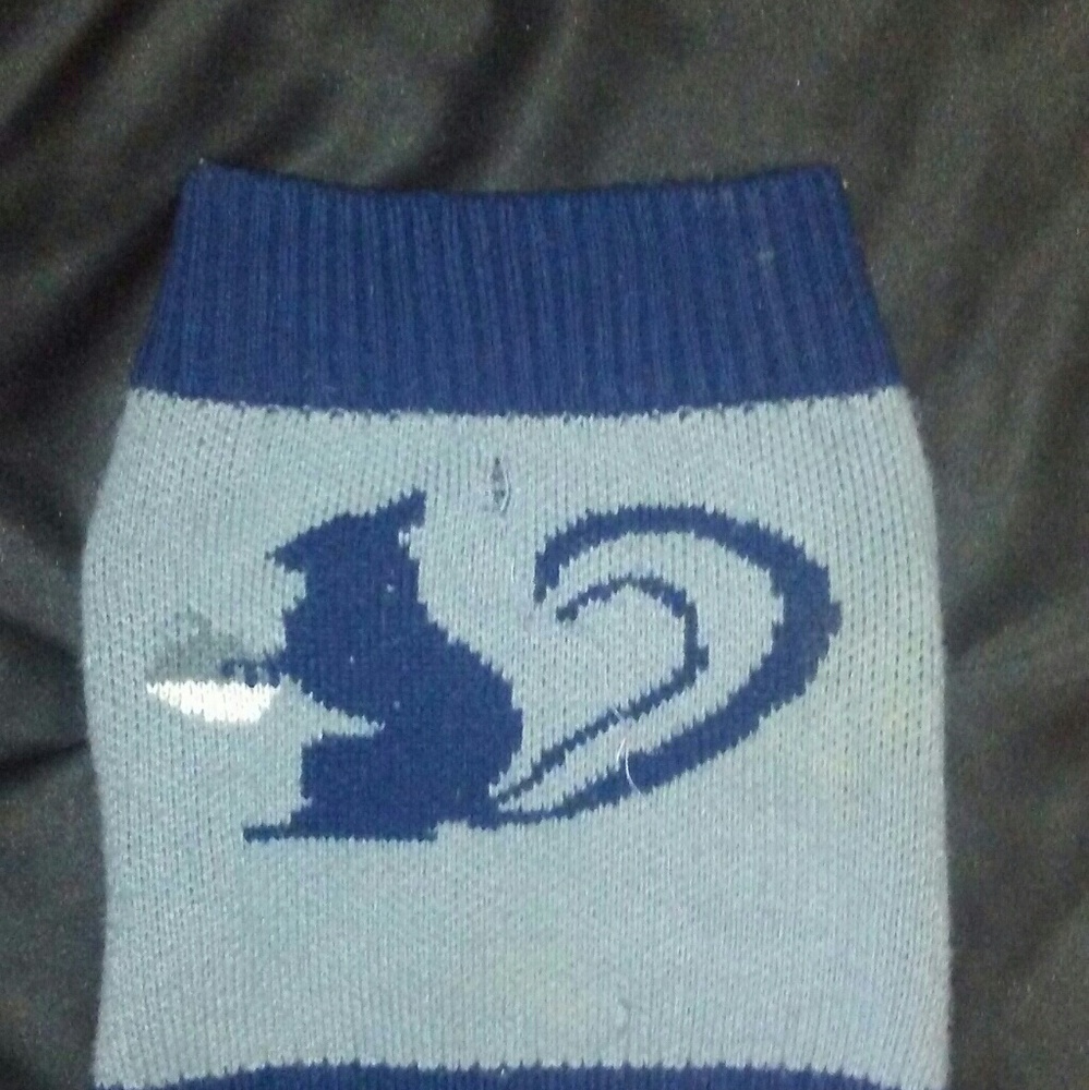Never worn dog sweater